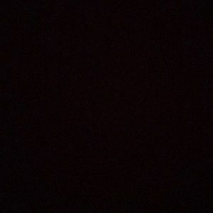 Meet your Posher, Kinsley